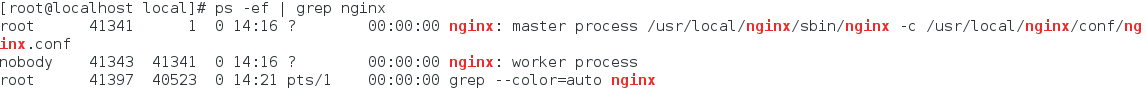 Nginx6